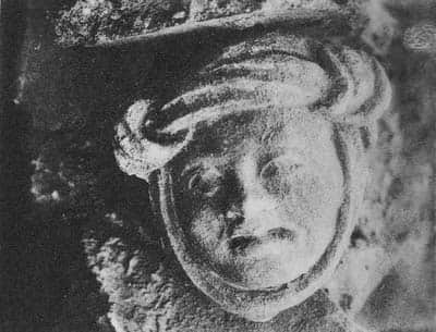 Head of Warrior