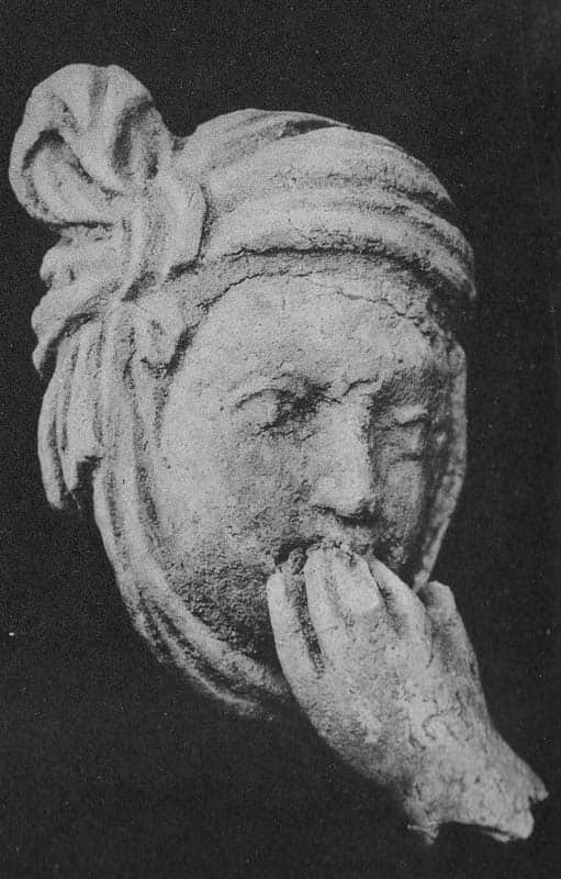Head of Warrior