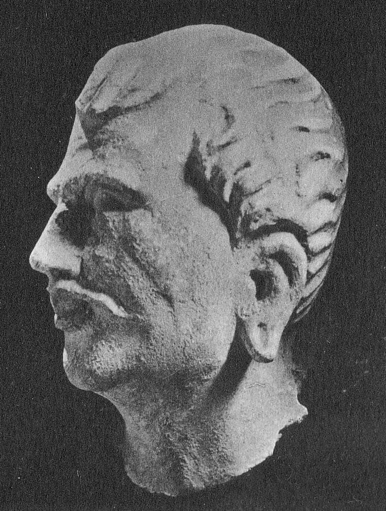 Head of Warrior