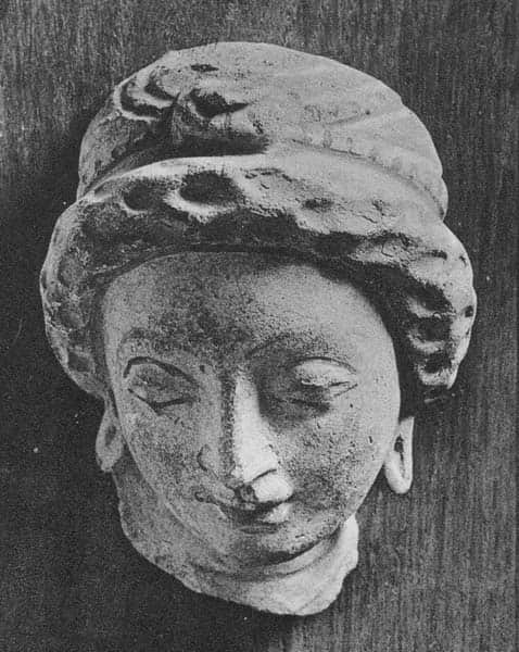 Head of a female donor, or deity