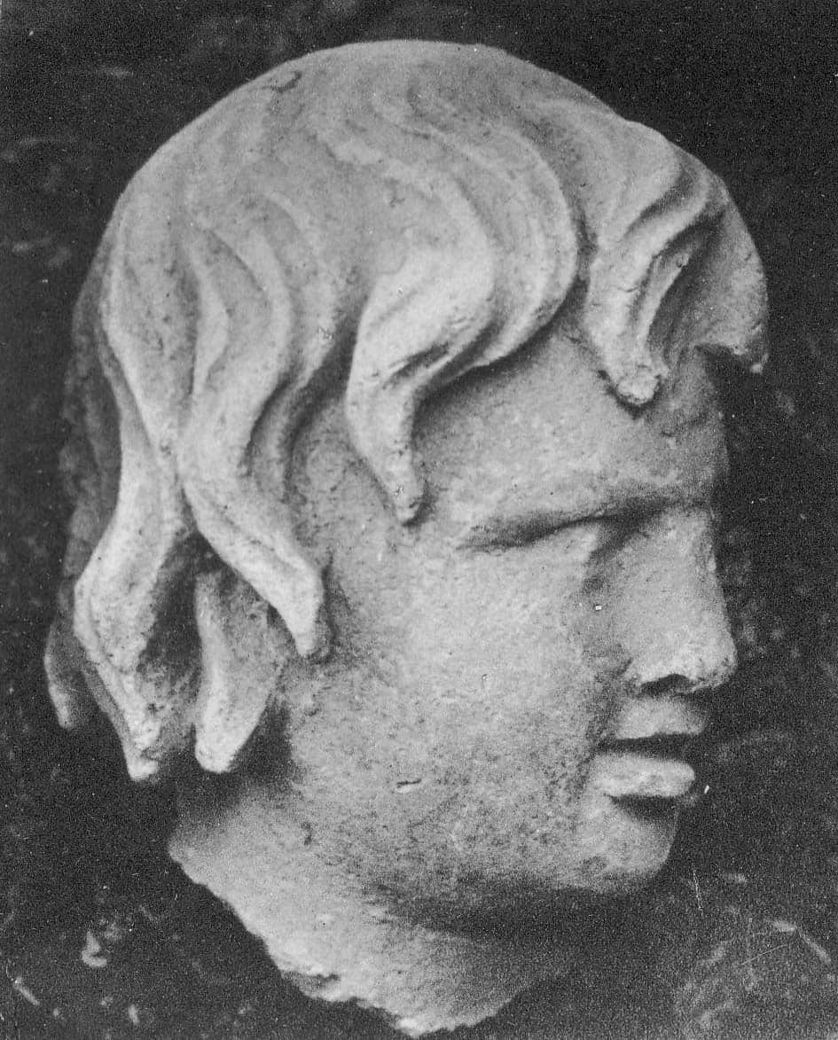 Head of a young Donor