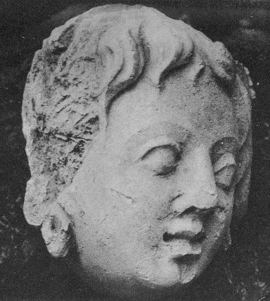 Head of a young Donor / or female Donor