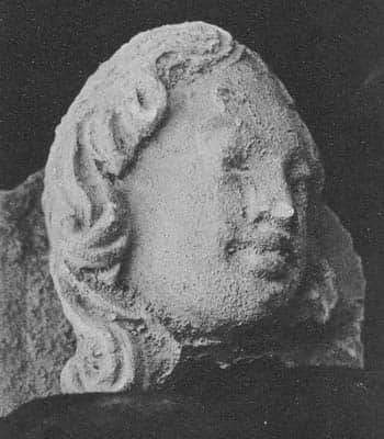 Head of female Donor