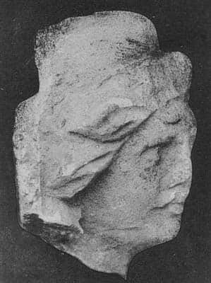 Head of Warrior
