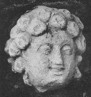 Head of a young Donor