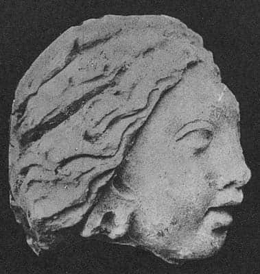 Head of female Donor