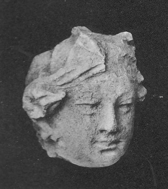Head of a donor