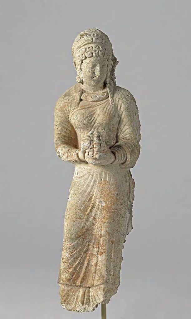 Female Donor