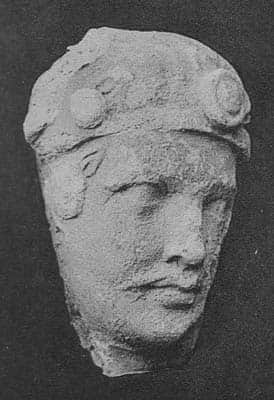 Head of a donor