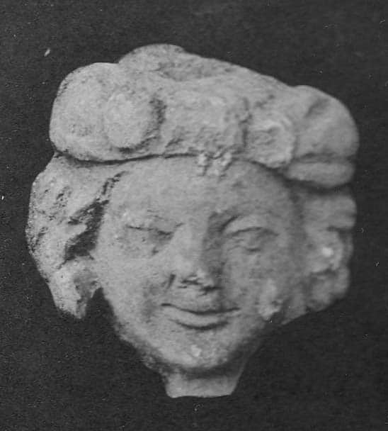 Head of a donor