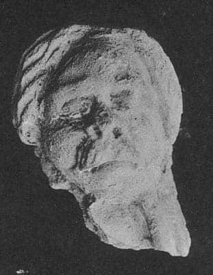 Head of Warrior