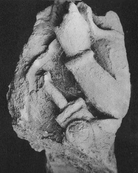 Bust of Warrior