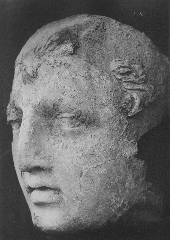 Head of a young donor