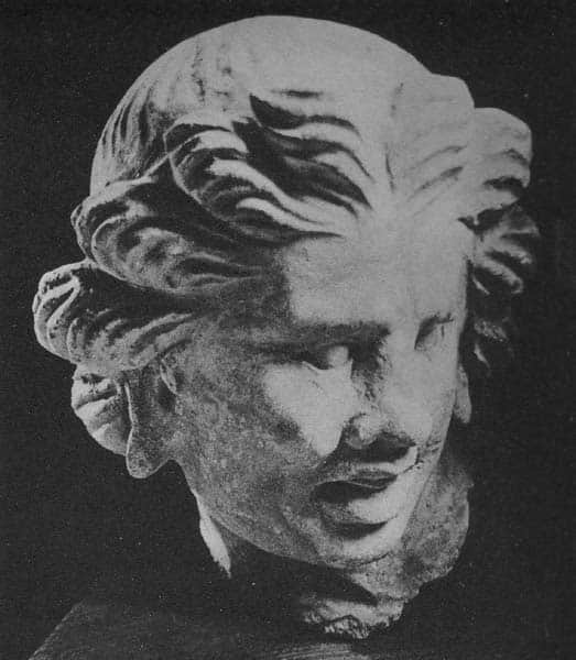 Head of Warrior