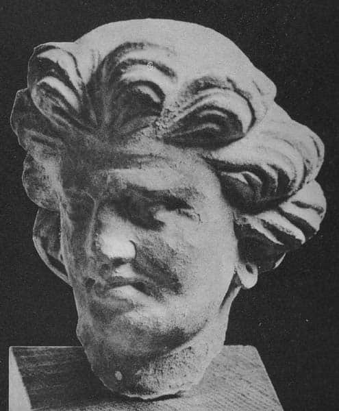 Head of Warrior