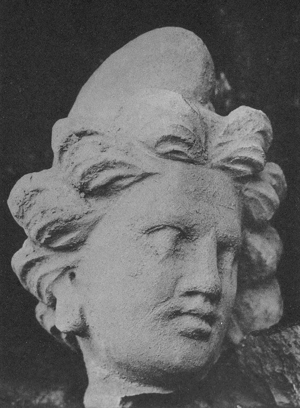 Head of Warrior