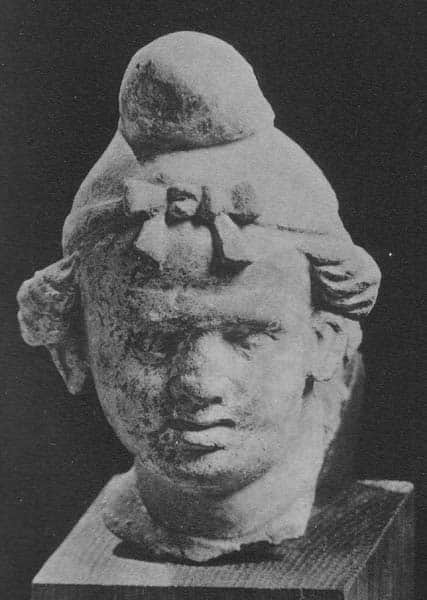 Head of Warrior