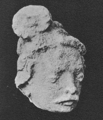 Head of a donor