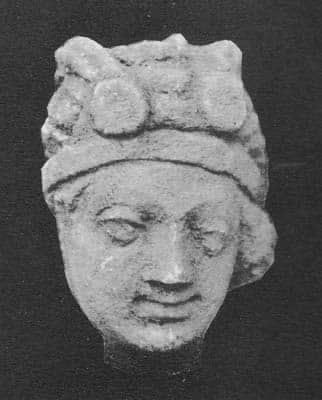 Head of a donor