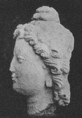 Head of god Brahma or a young brahman