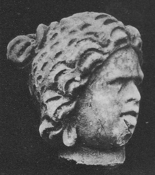 Head of brahman