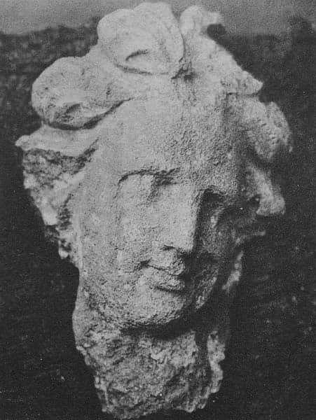 Head of Warrior