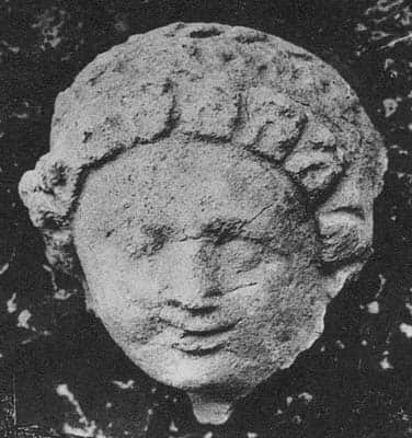 Head of female Donor