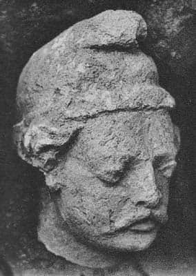 Head of a donor