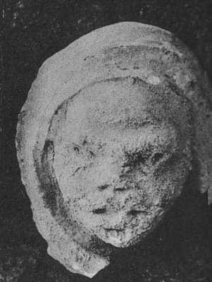 Head of Warrior