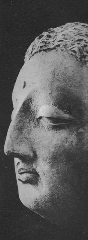 Head of Buddha