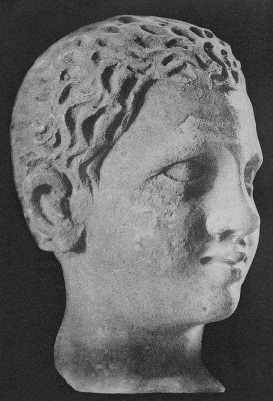 Head of a young donor