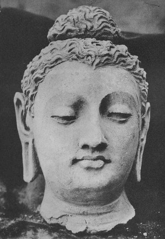 Head of Buddha