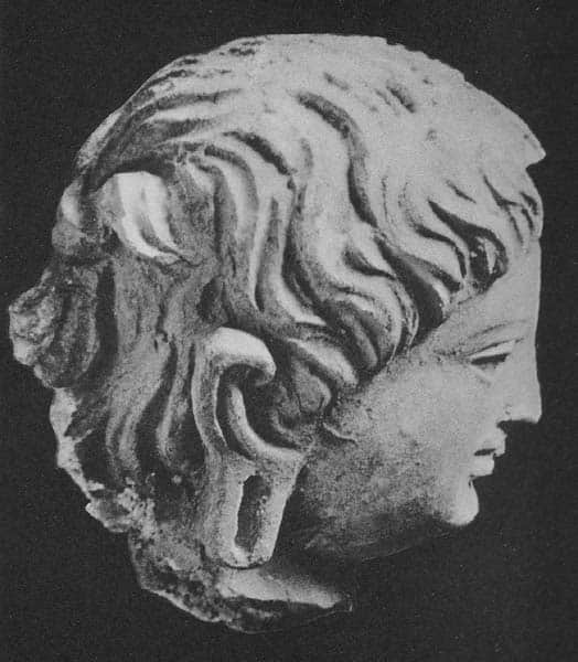 Head of a young Donor