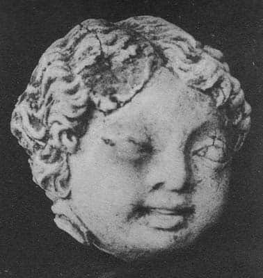 Head of a young Donor