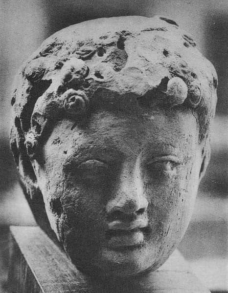 Head of Buddha