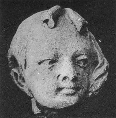Head of a young Donor / or female Donor