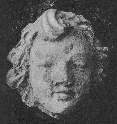 Head of a donor