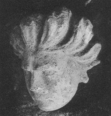 Head of Demon