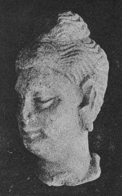 Head of Buddha