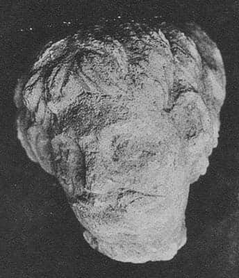 Head of Warrior