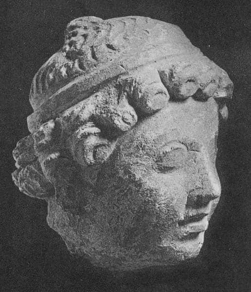 Head of Genius (HADB 152)