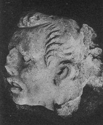 Grimacing head (HADB 201)