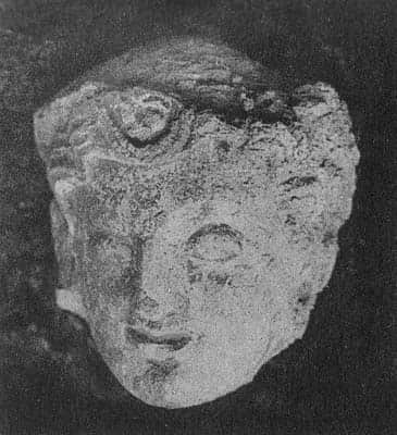Head of a young donor (HADB 315)