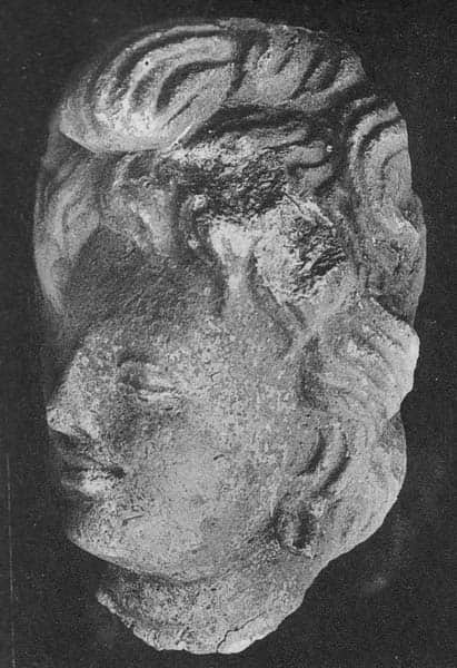 Head of Genius or Bodhisattva (HADB 154)
