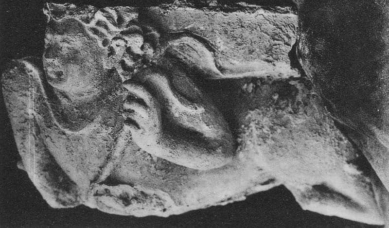Bust of Gandharva (HADB 163)