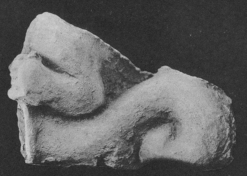 Bust of Nāga (HADB 164)