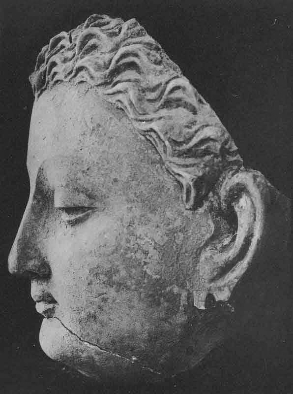 Head of Buddha (HADB 9)