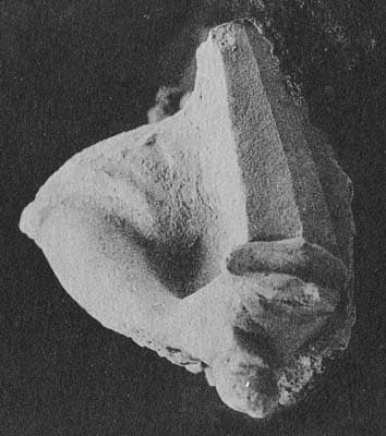 Bras et épée de guerrier