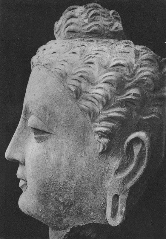 Figure in Stucco: Head of Buddha, Tapa-i Kafarihā, Hadda