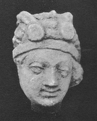 Head of a donor